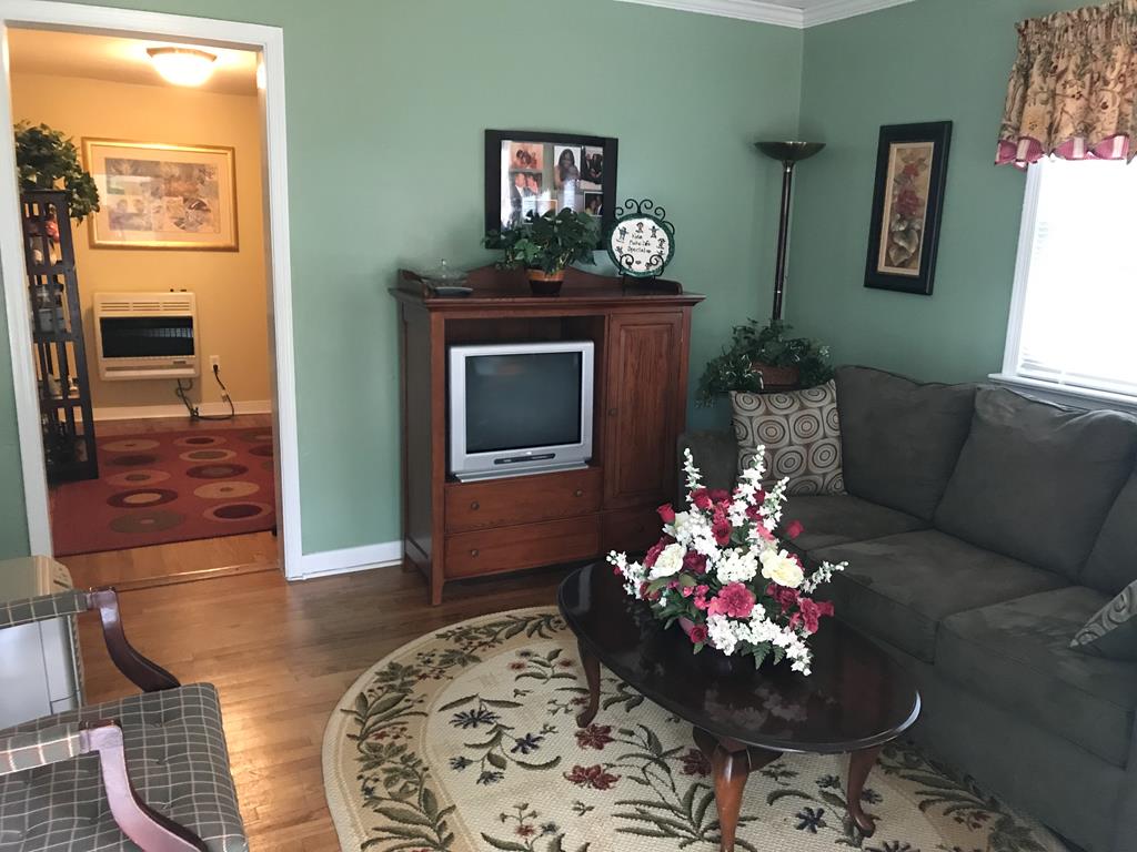 677 Shade Tree Road New Canton, VA 23123 - Photo 3 of 15 Gallery Image 3