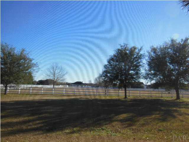 1621 West 9 & Half Mile Road Cantonment, FL 32533 - Photo 25 of 25 The 1 ac paddock beyond the lawn