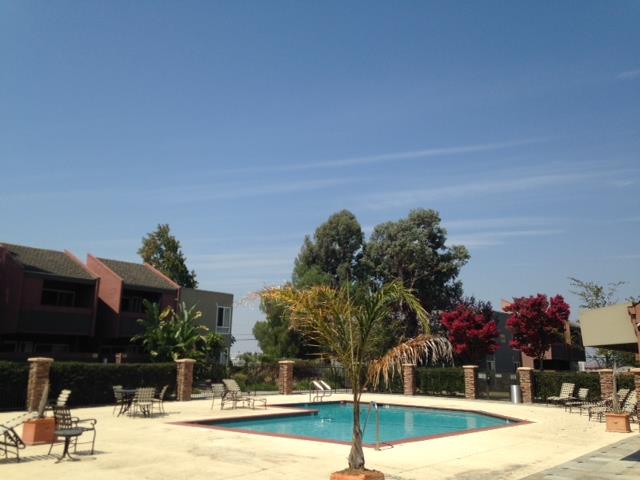 460 Dempsey Road, Unit 263 Milpitas, CA 95035 - Photo 4 of 11 Gallery Image 4