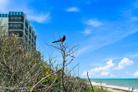 a view of an ocean and beach