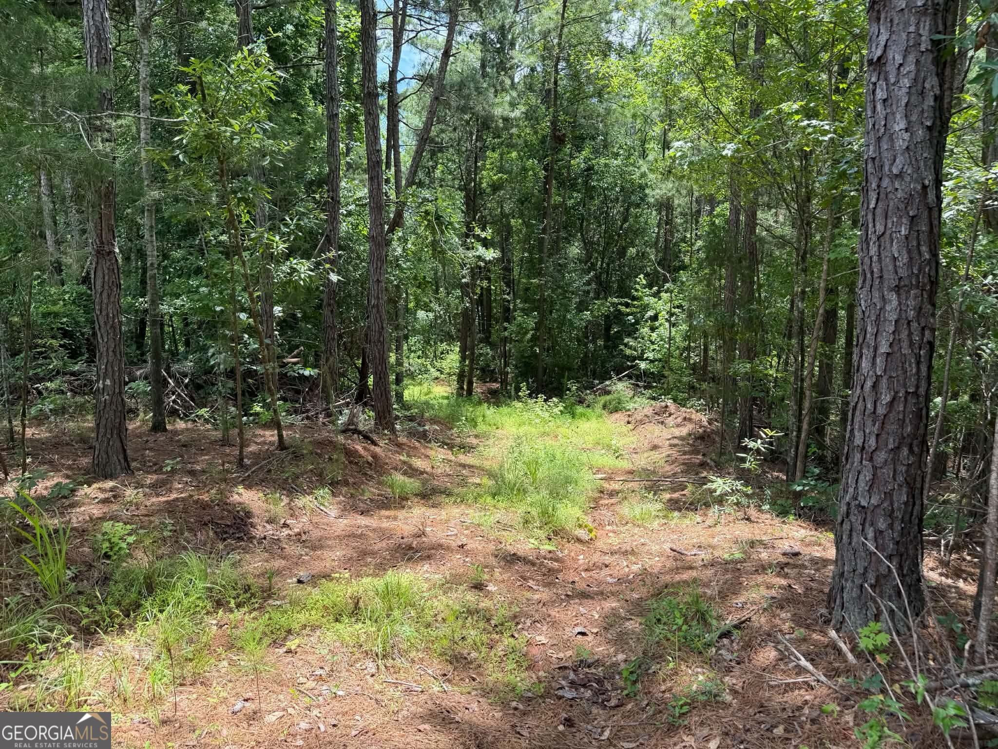 0 Whatley North Road LaGrange, GA 30240 - Photo 11 of 11