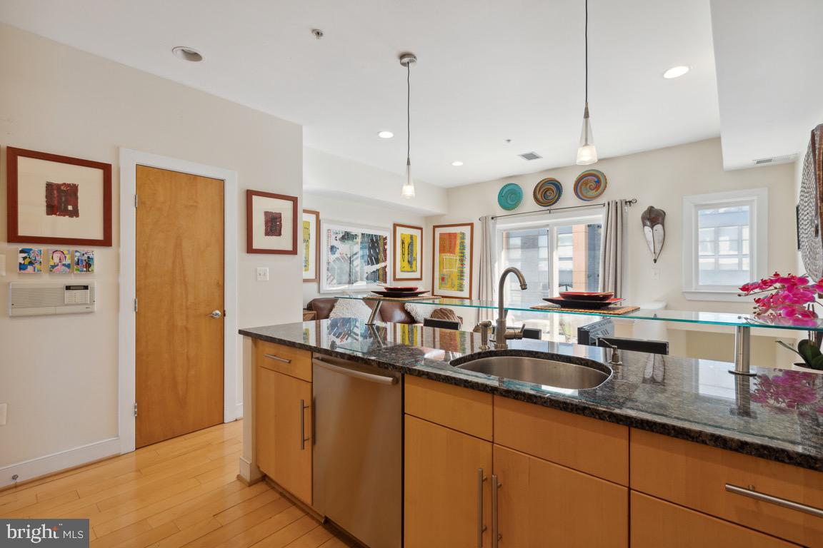 223 R Street Northeast, Unit B Washington, DC 20002 - Photo 14 of 48 Stunning Kitchen View
