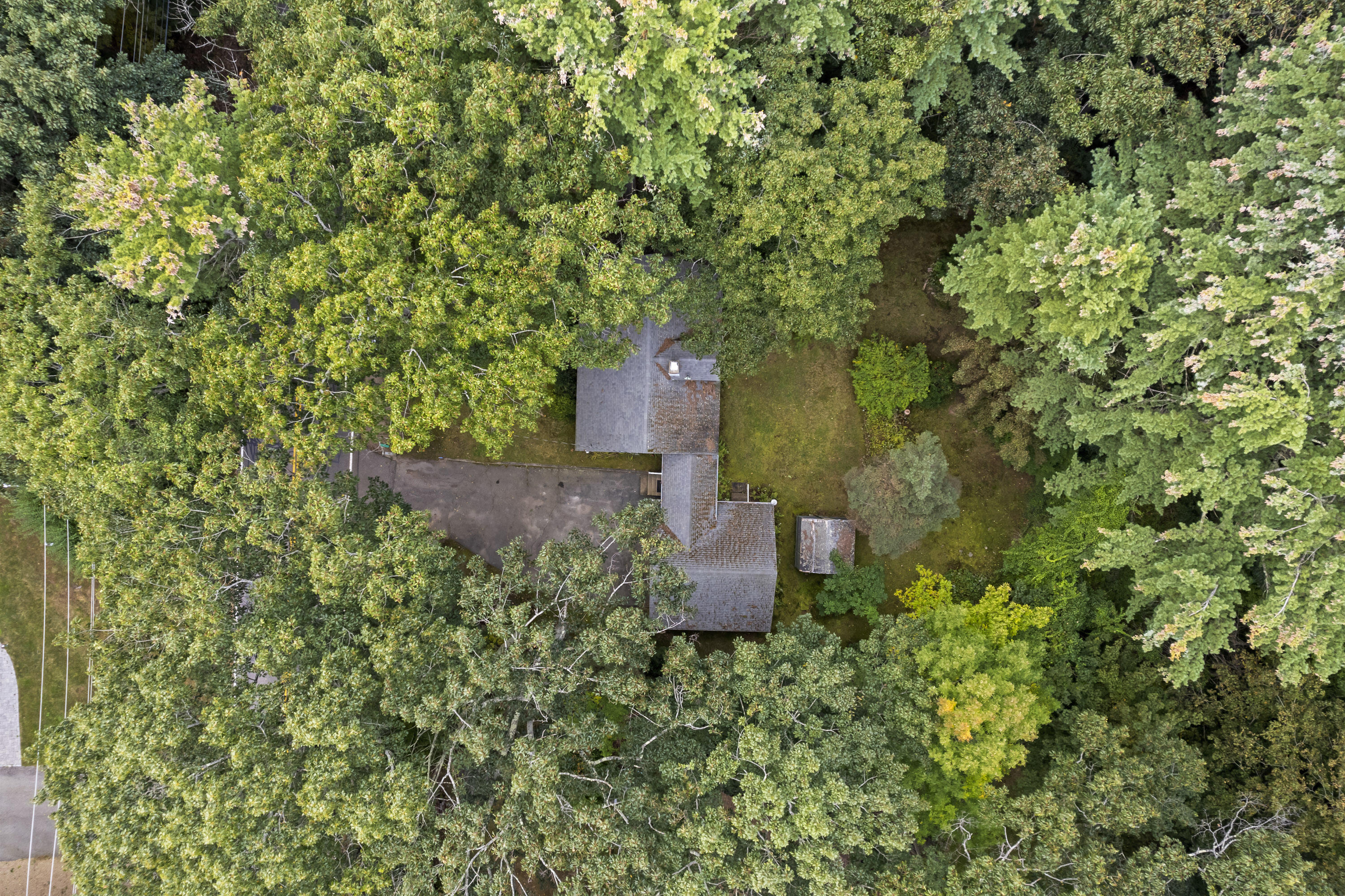 20 Cape Neddick Road York, ME 03909 - Photo 25 of 28 Yard overview