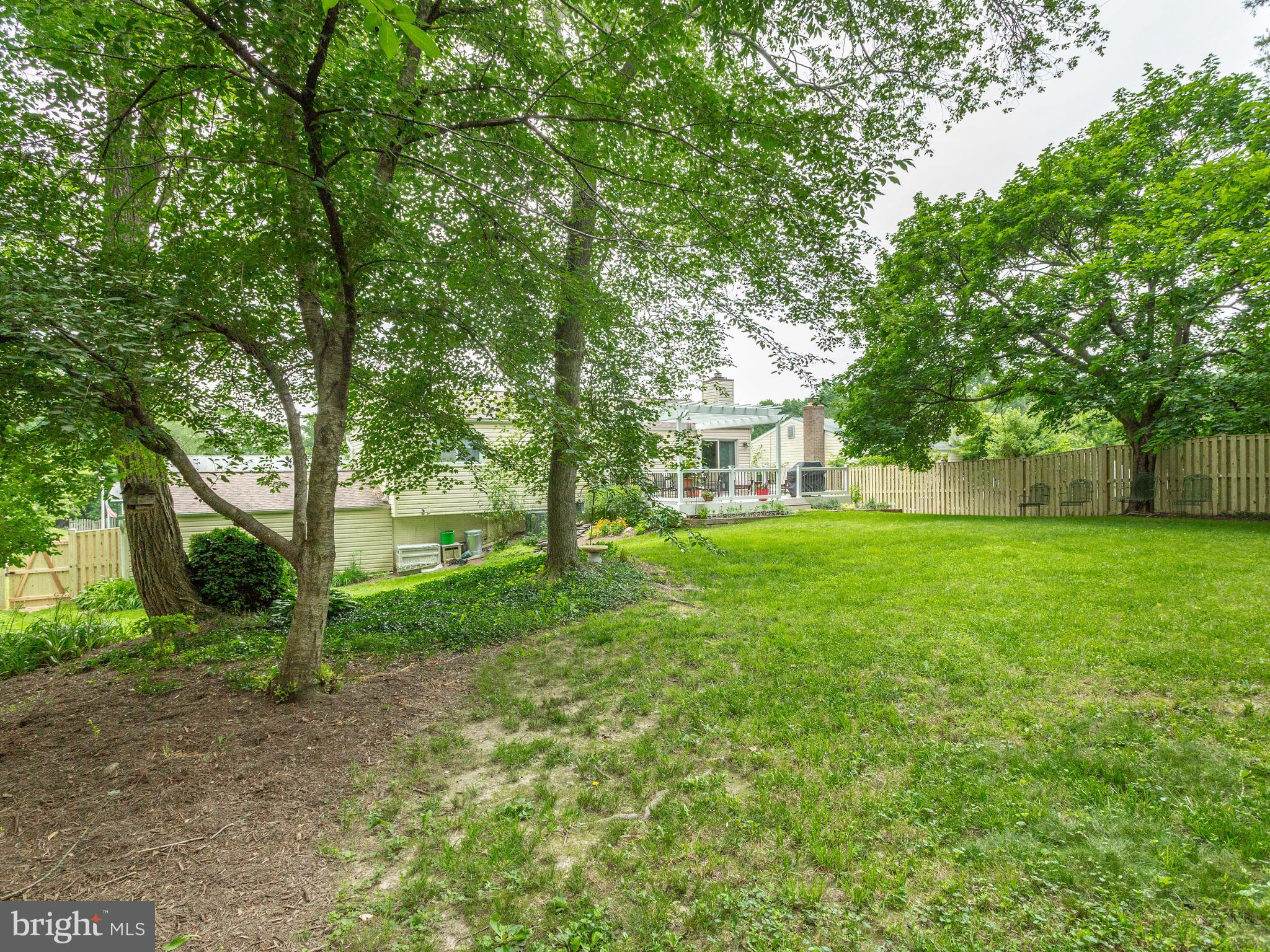 6402 Darwin Road Laurel, MD 20707 - Photo 37 of 44 More Back Yard!