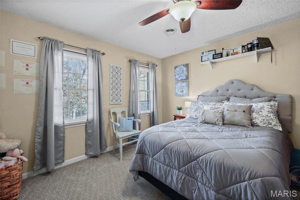 111 Wildhorse Road Farmington, MO 63640 - Photo 46 of 83