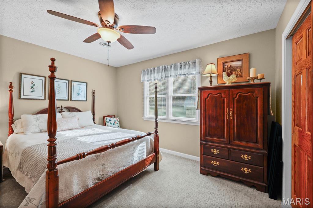 111 Wildhorse Road Farmington, MO 63640 - Photo 52 of 83