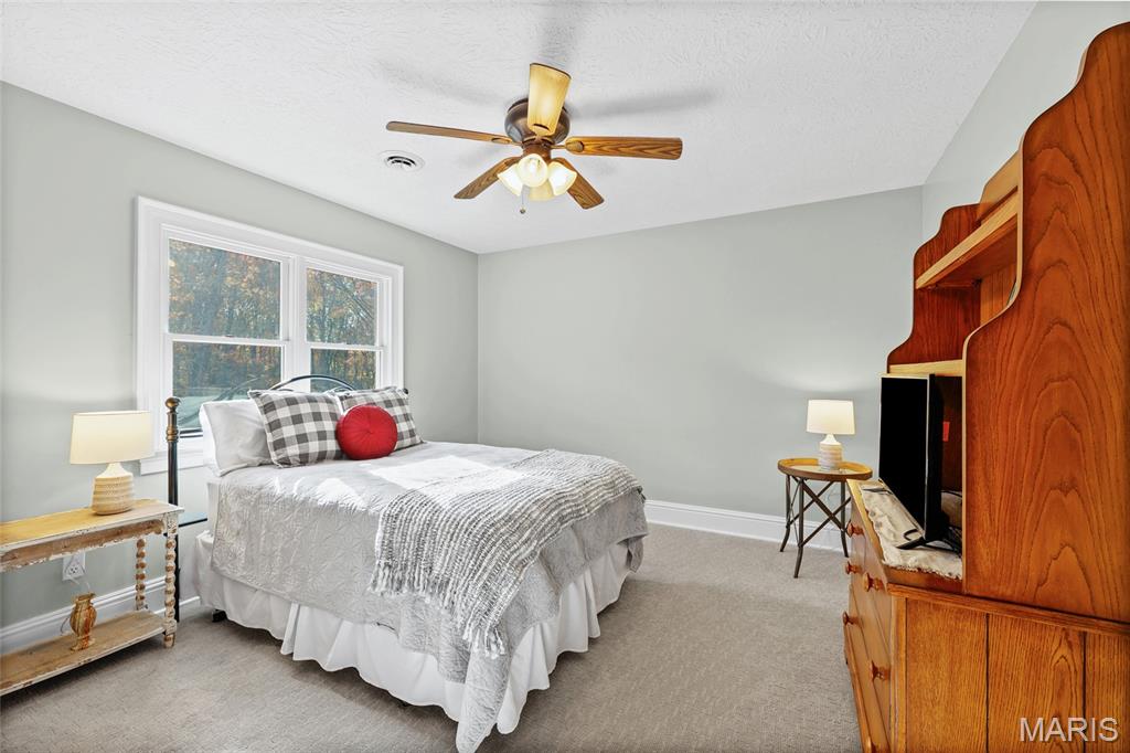 111 Wildhorse Road Farmington, MO 63640 - Photo 53 of 83