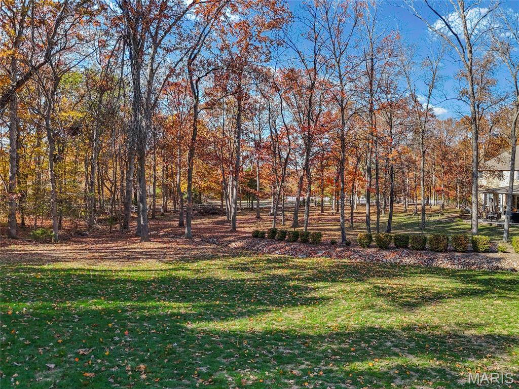 111 Wildhorse Road Farmington, MO 63640 - Photo 71 of 83