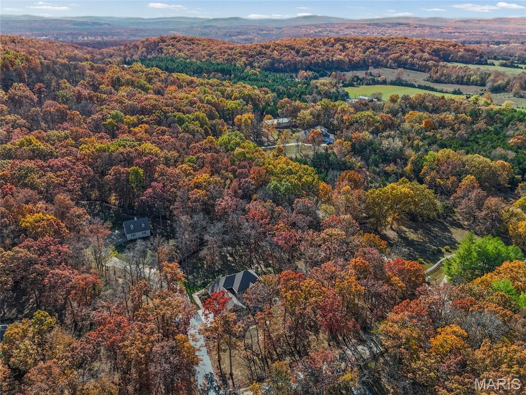 111 Wildhorse Road Farmington, MO 63640 - Photo 76 of 83