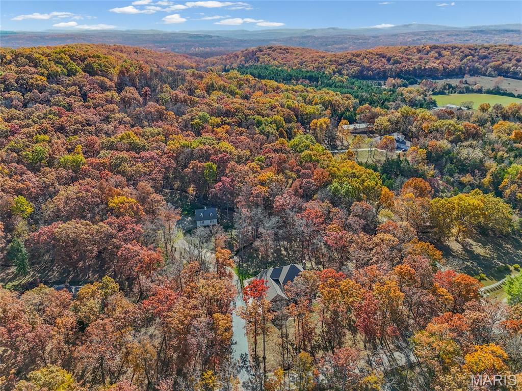 111 Wildhorse Road Farmington, MO 63640 - Photo 77 of 83