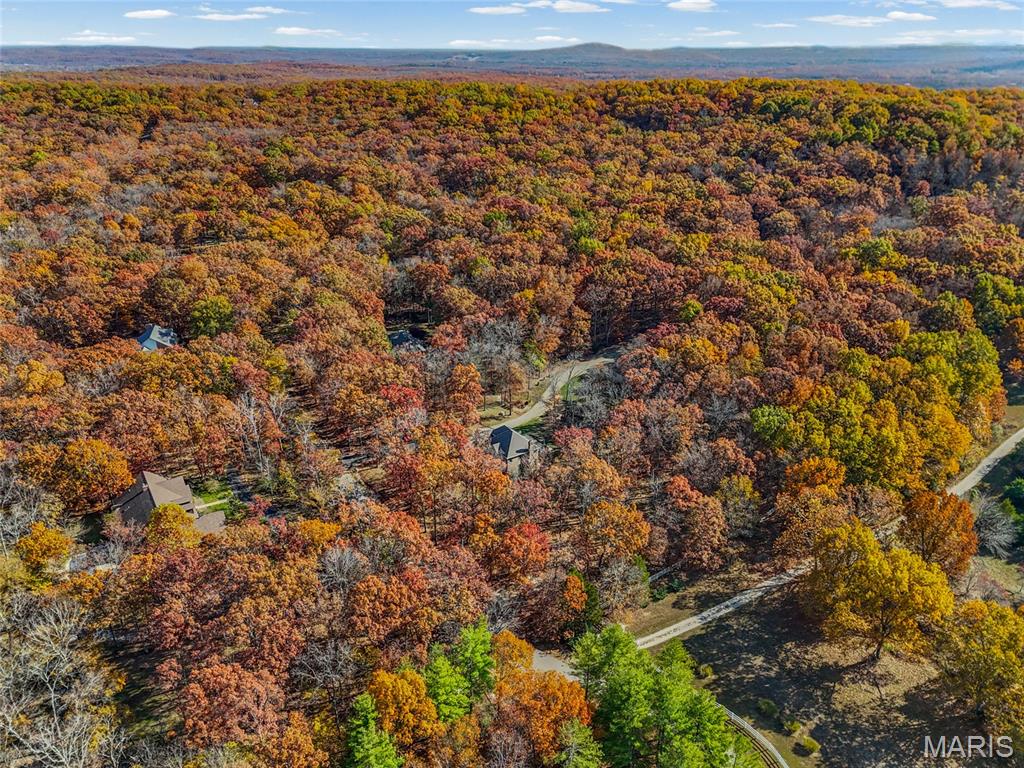 111 Wildhorse Road Farmington, MO 63640 - Photo 78 of 83