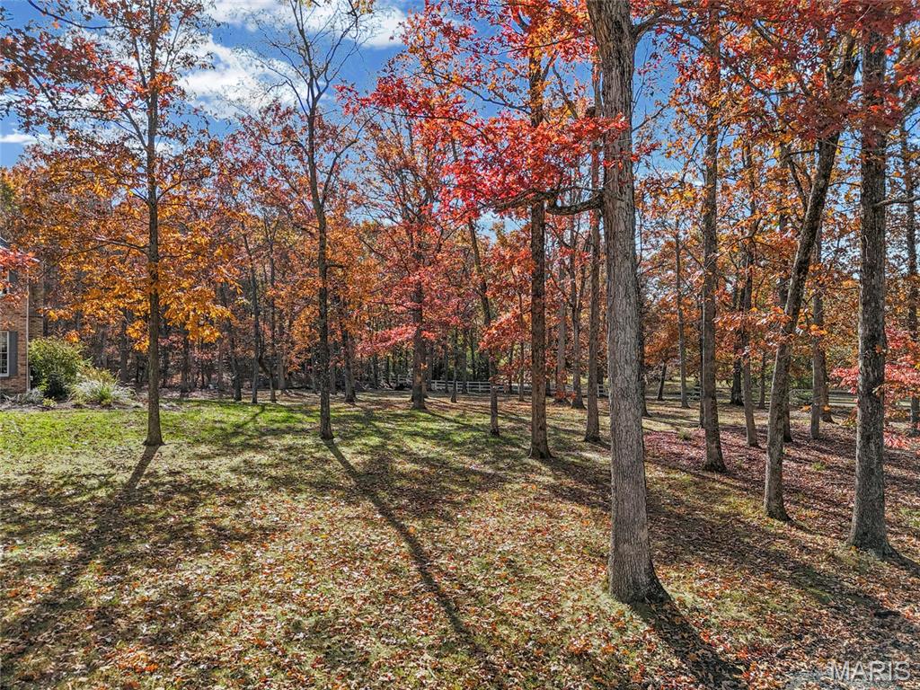 111 Wildhorse Road Farmington, MO 63640 - Photo 80 of 83