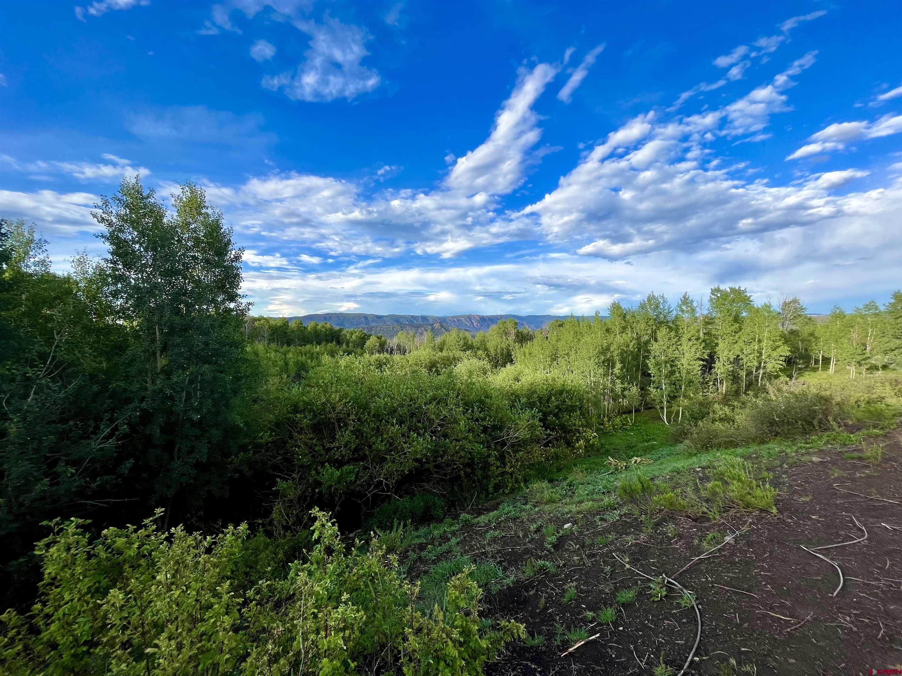 Tract P Q72 Road Montrose, CO 81403 - Photo 8 of 26 Gallery Image 8