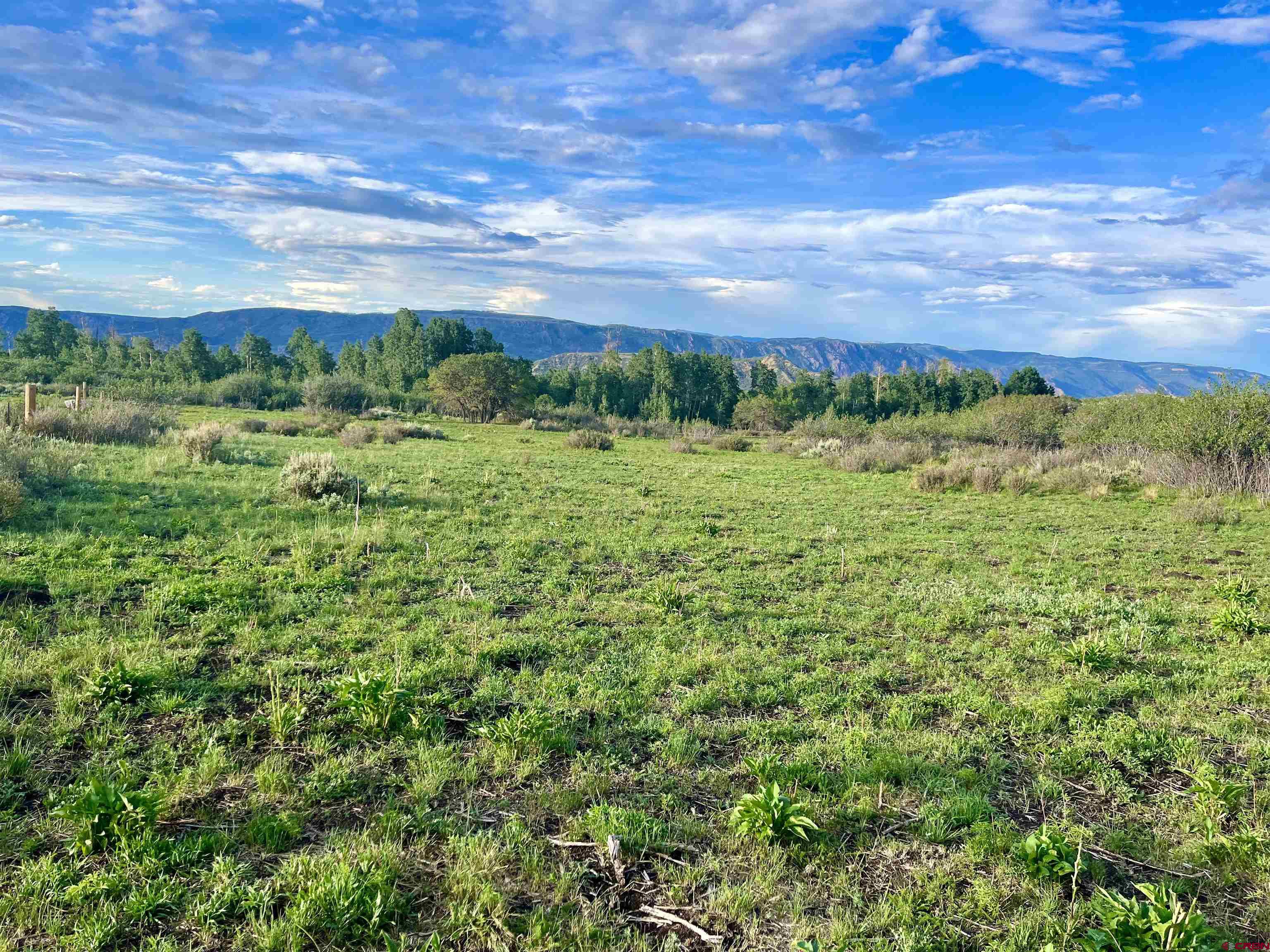 Tract P Q72 Road Montrose, CO 81403 - Photo 9 of 26 Gallery Image 9