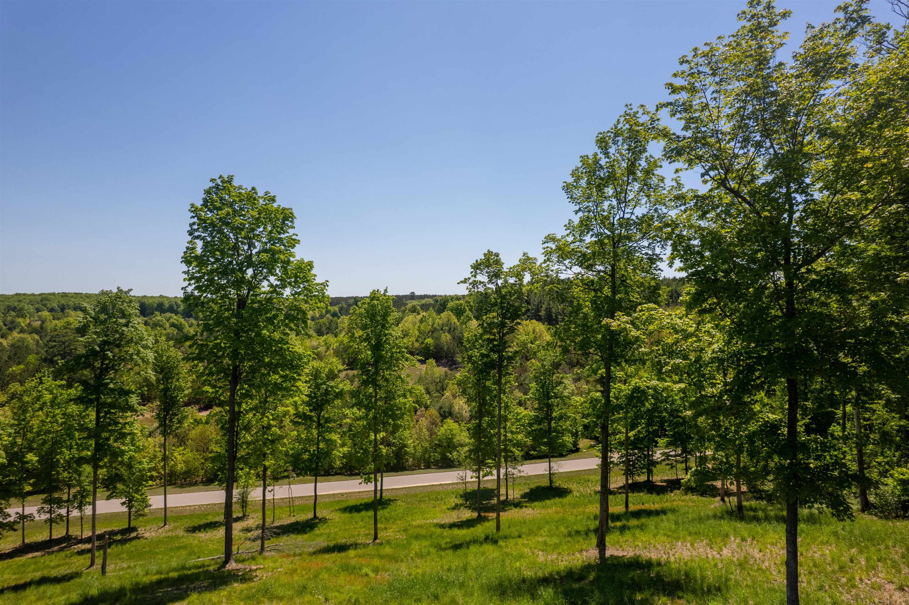 5844 Elkhorn Road, Unit LOT: 73 Kingsley, MI 49649 - Photo 7 of 12