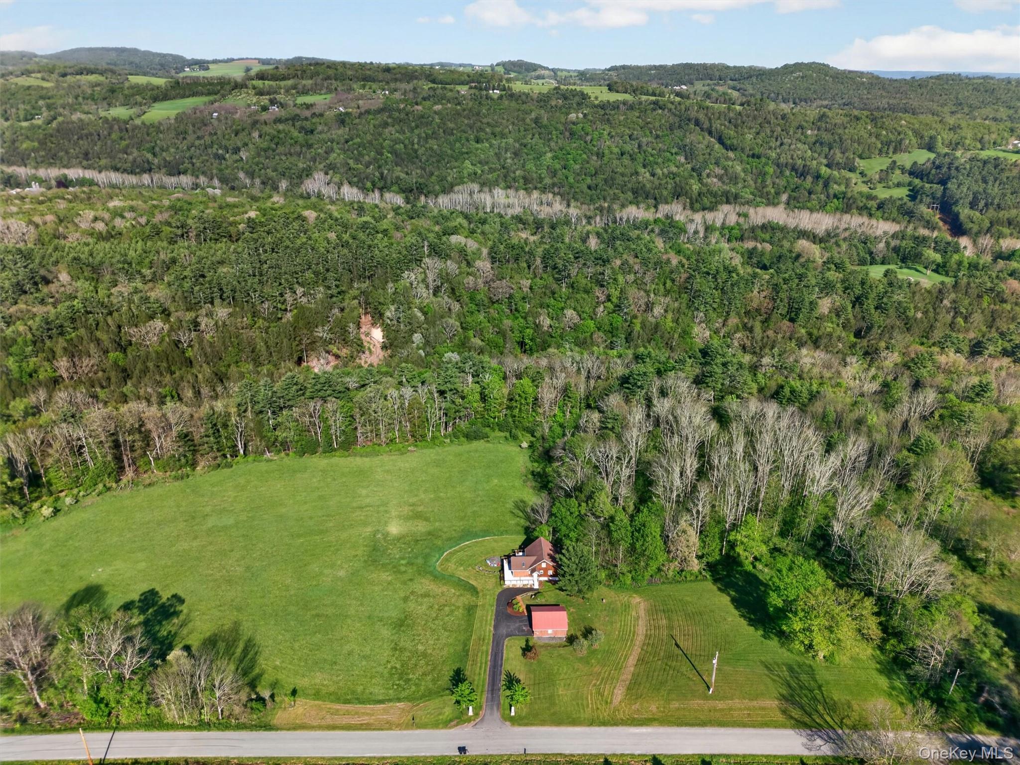 340 Hospital Road Callicoon, NY 12723 - Photo 35 of 41 a view of a field with an trees