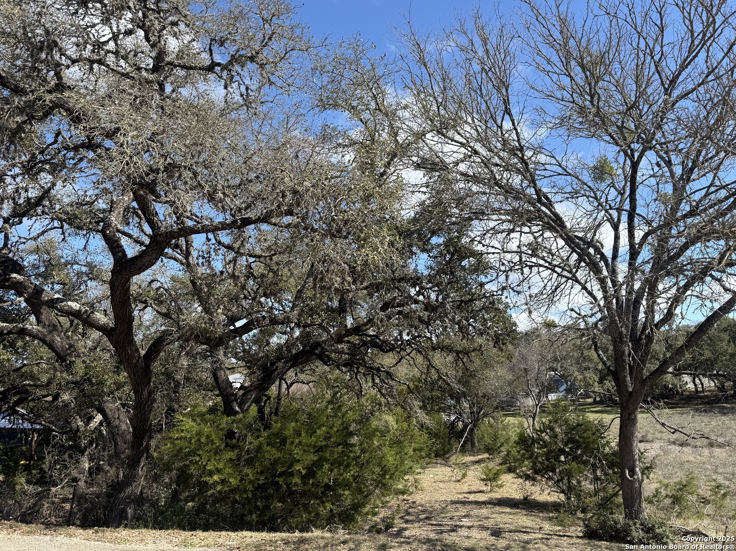 985 Deer Run Pass Canyon Lake, TX 78133 - Photo 2 of 4 a view of a tree