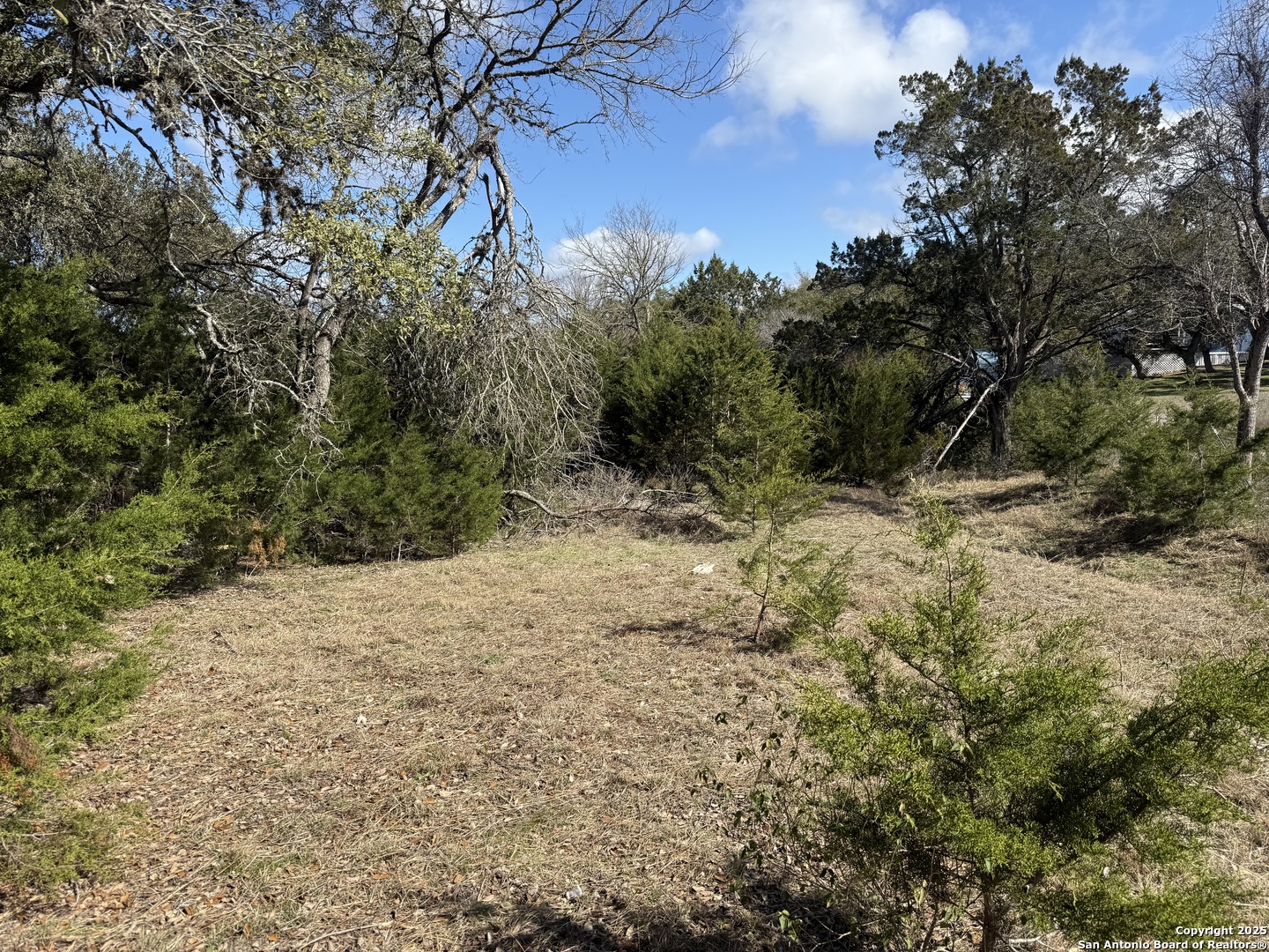 985 Deer Run Pass Canyon Lake, TX 78133 - Photo 3 of 4 a view of a dry yard with trees