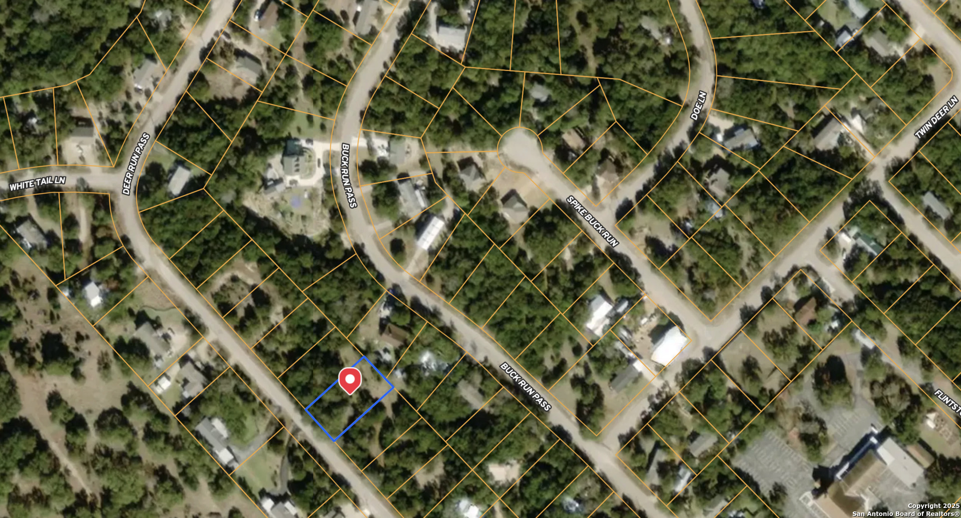 985 Deer Run Pass Canyon Lake, TX 78133 - Photo 4 of 4 a close up of a plant in a garden