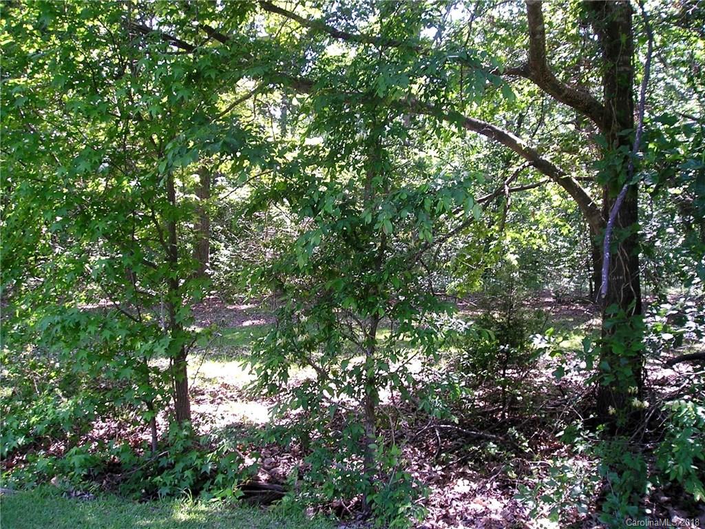 0 Altan Woods Road Monroe, NC 28112 - Photo 6 of 9