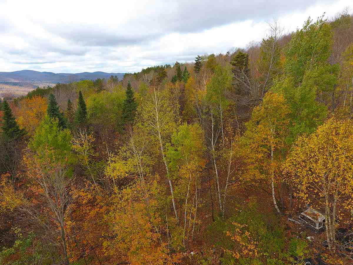 1067 Rushford Valley Road Montgomery, VT 05471 - Photo 1 of 31