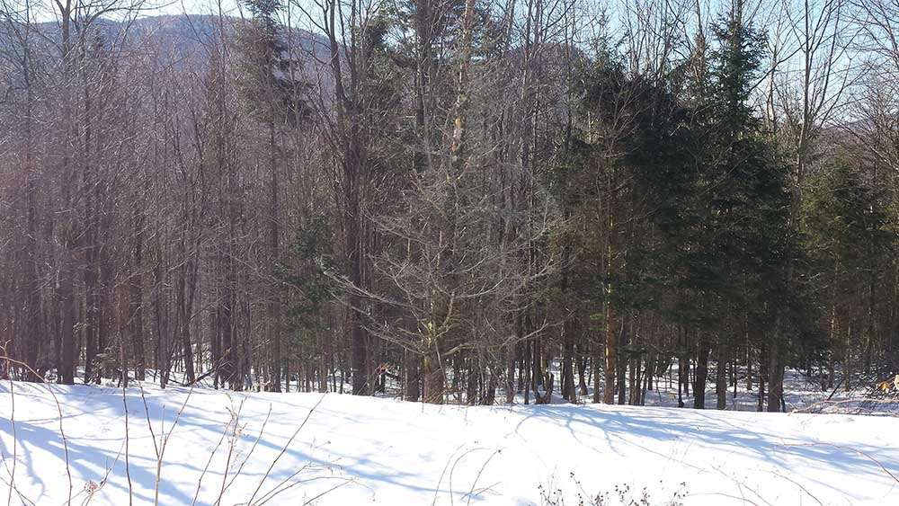1067 Rushford Valley Road Montgomery, VT 05471 - Photo 19 of 31