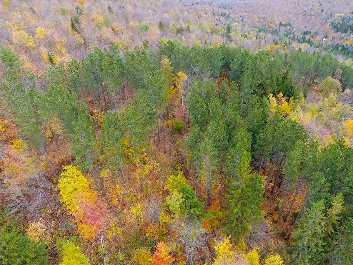 1067 Rushford Valley Road Montgomery, VT 05471 - Photo 3 of 31