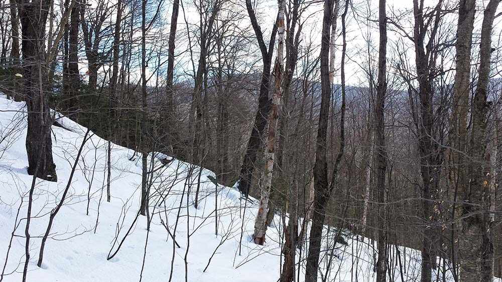 1067 Rushford Valley Road Montgomery, VT 05471 - Photo 21 of 31