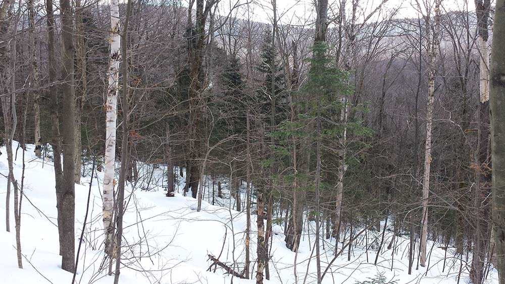 1067 Rushford Valley Road Montgomery, VT 05471 - Photo 22 of 31