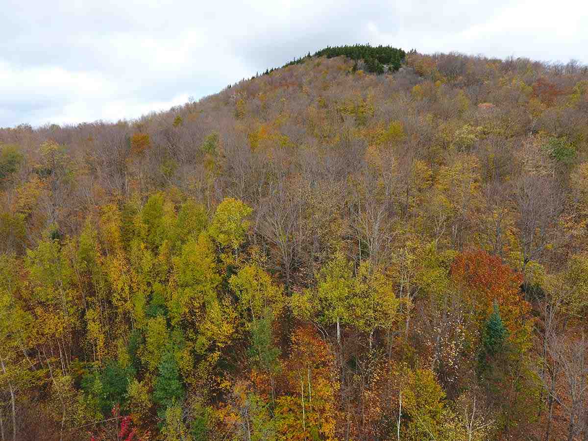 1067 Rushford Valley Road Montgomery, VT 05471 - Photo 23 of 31