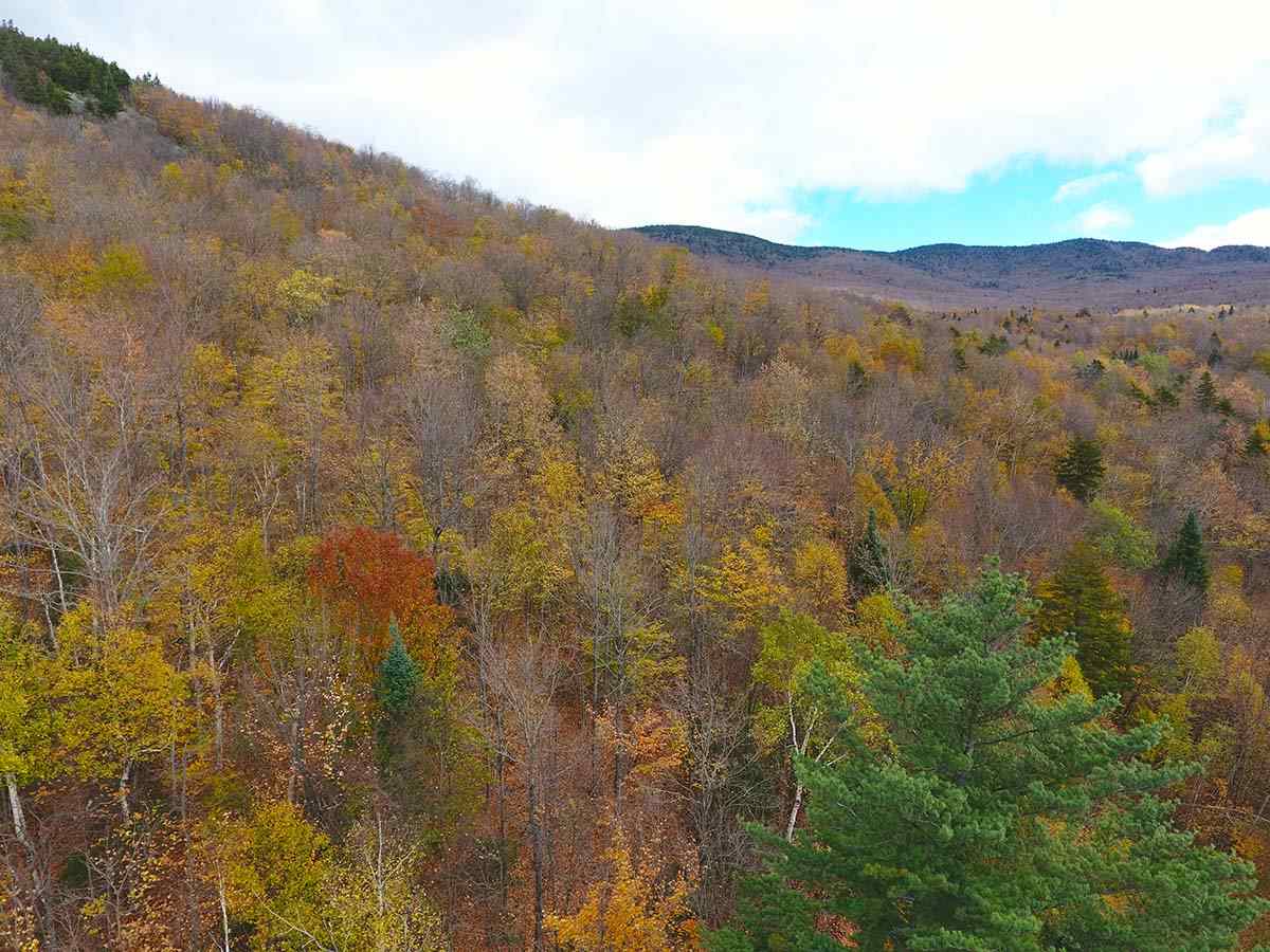 1067 Rushford Valley Road Montgomery, VT 05471 - Photo 28 of 31