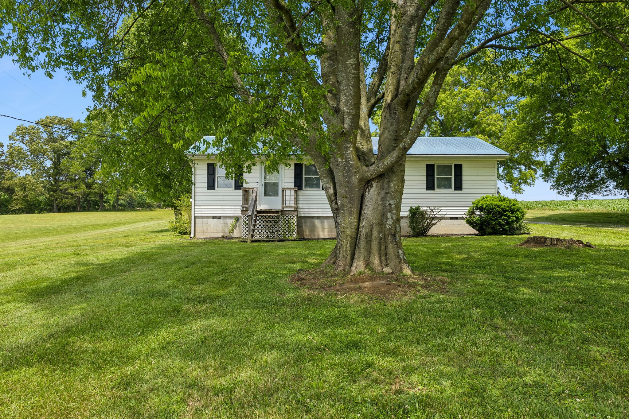 576 Tipps Road Belvidere, TN 37306 - Photo 3 of 32 Gallery Image 3