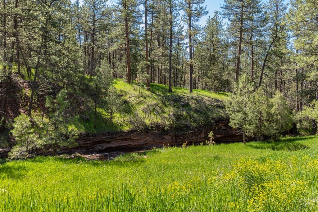 Tbd North Northcreek Road Beulah, CO 81023 - Photo 8 of 8
