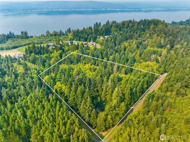 a view of a yard and lake view
