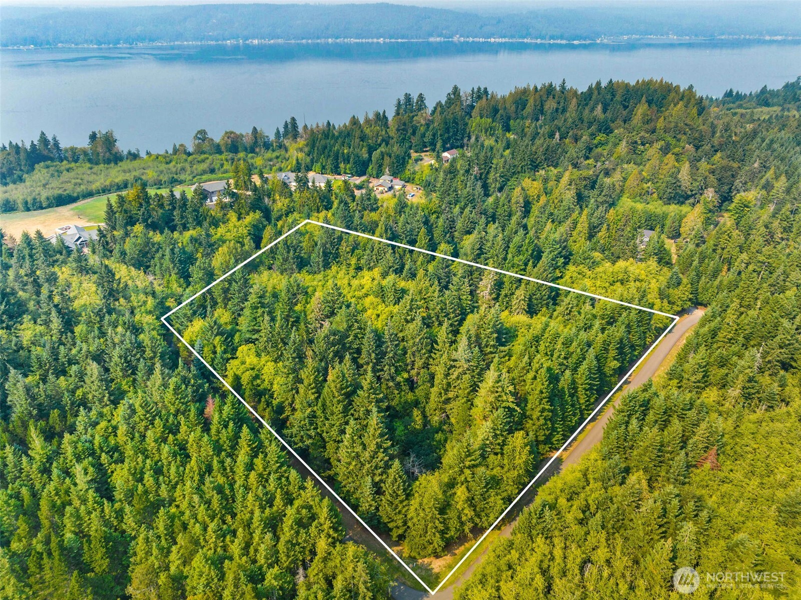 a view of a yard and lake view