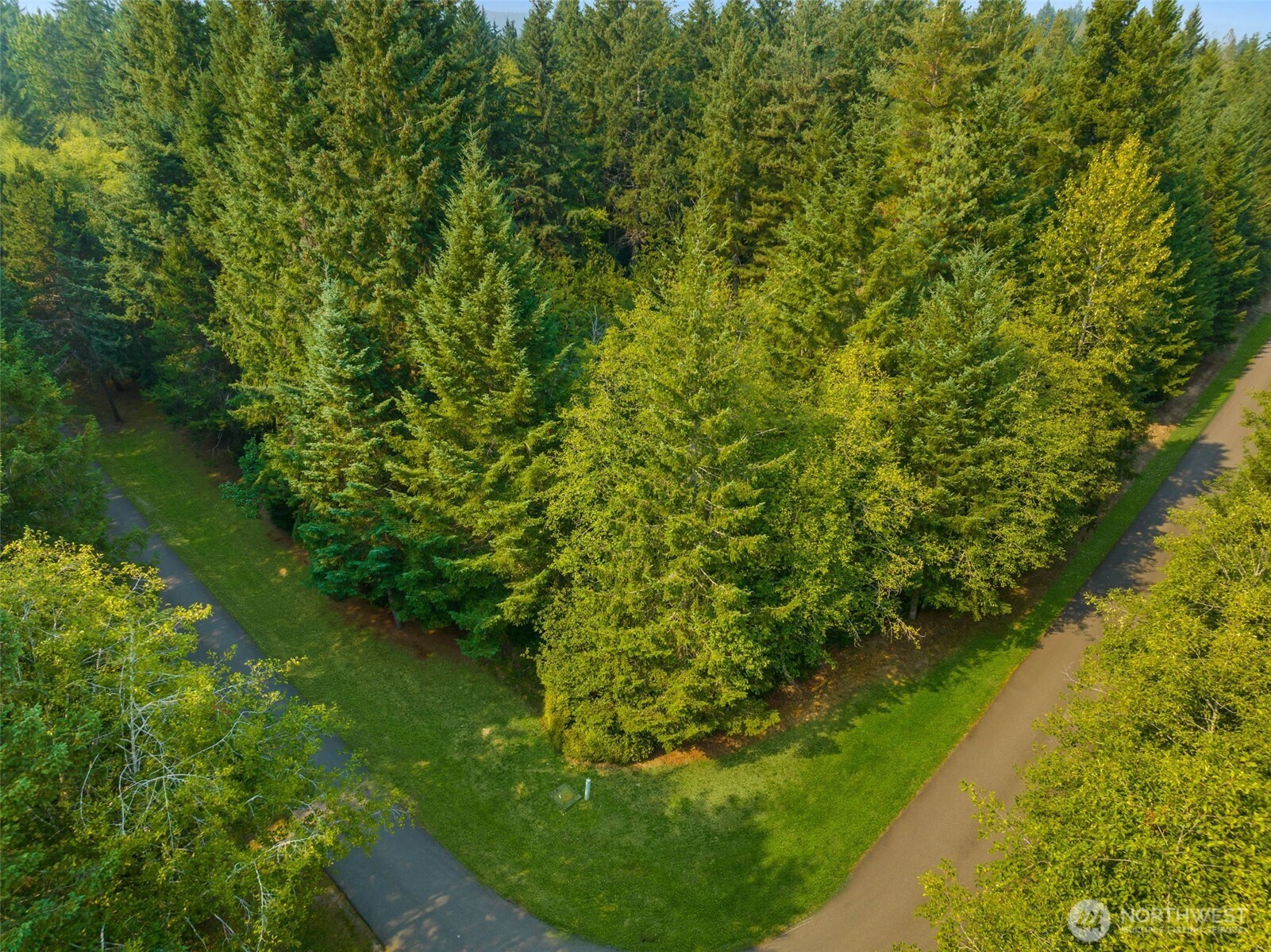 70 East Windy Ridge Lane Belfair, WA 98528 - Photo 7 of 9 a view of a garden