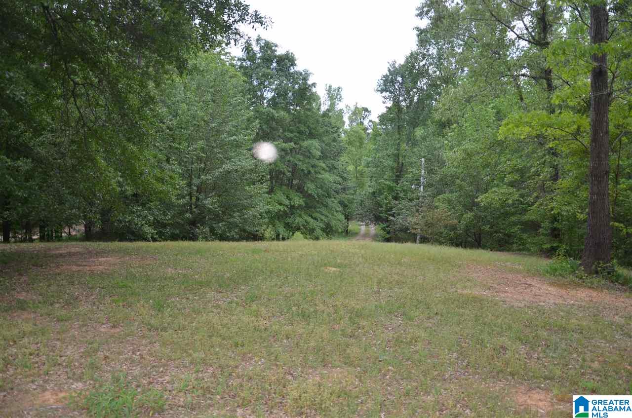 5081 Bluff Creek Ridge Adamsville, AL 35005 - Photo 2 of 28