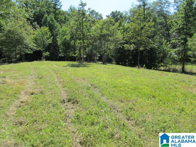 0 Choctaw Trail, Unit 10 Hayden, AL 35079 - Photo 4 of 24
