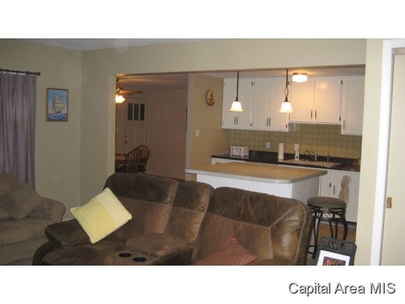 320 West Lenox Avenue Springfield, IL 62704 - Photo 5 of 14 Gallery Image 5