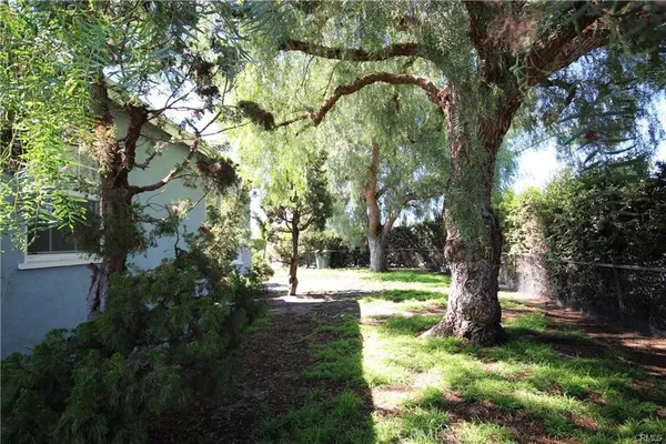 a view of yard with green space