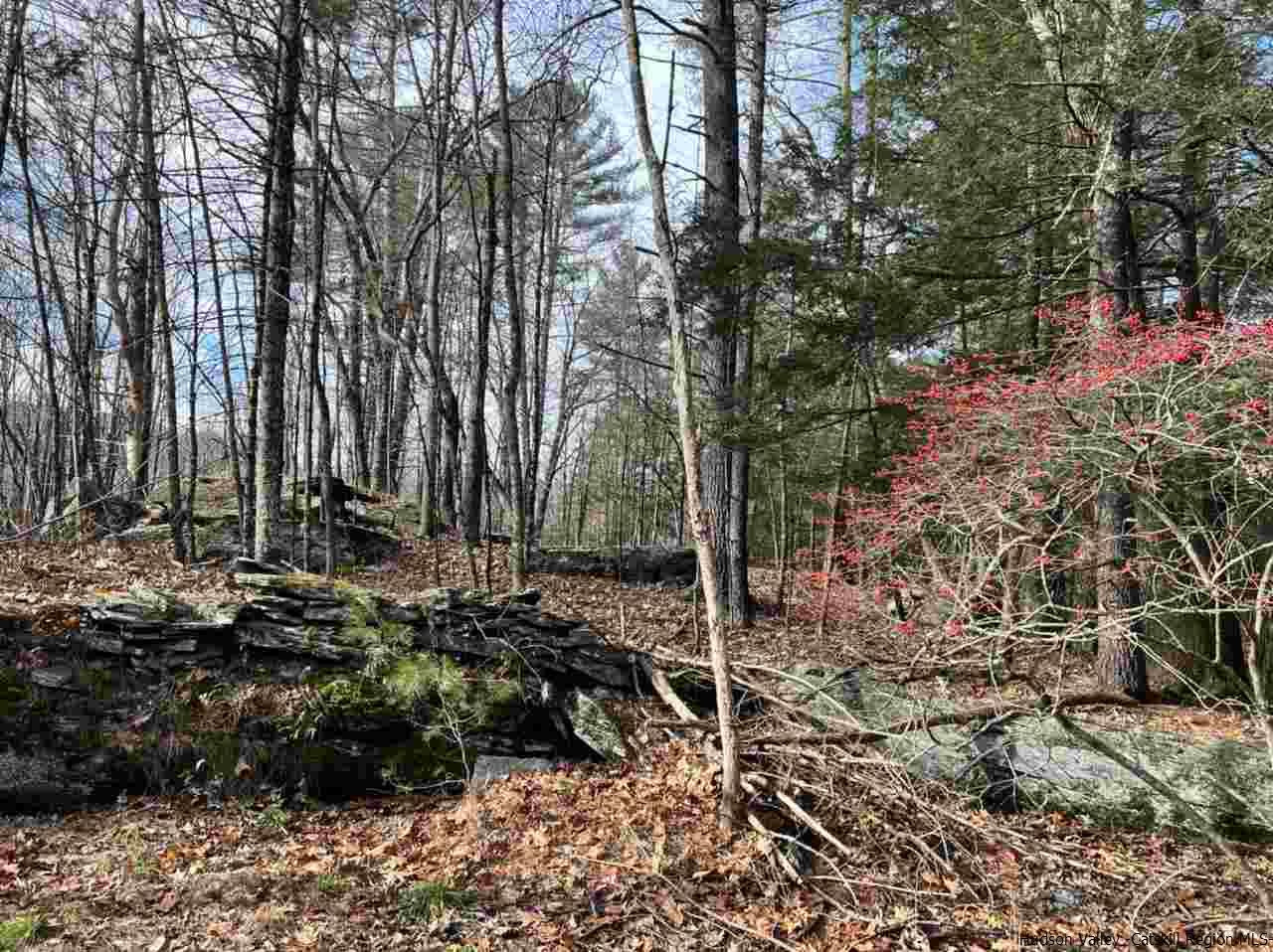 Tbd Tbd Samsonville Road, Unit COUNTY ROUTE 3 Olivebridge, NY 12461 - Photo 11 of 29 Photo 11