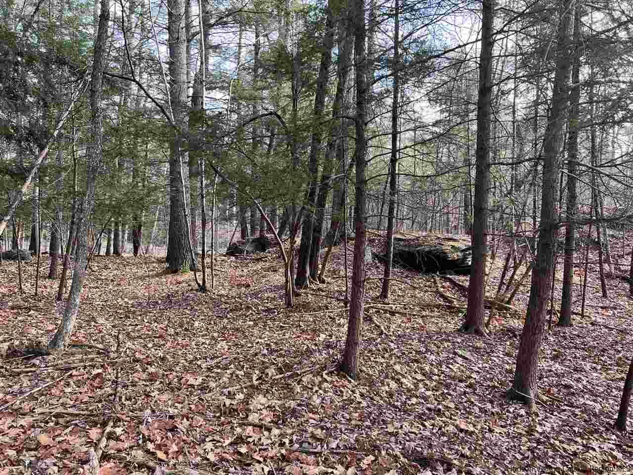 Tbd Tbd Samsonville Road, Unit COUNTY ROUTE 3 Olivebridge, NY 12461 - Photo 12 of 29 Photo 12