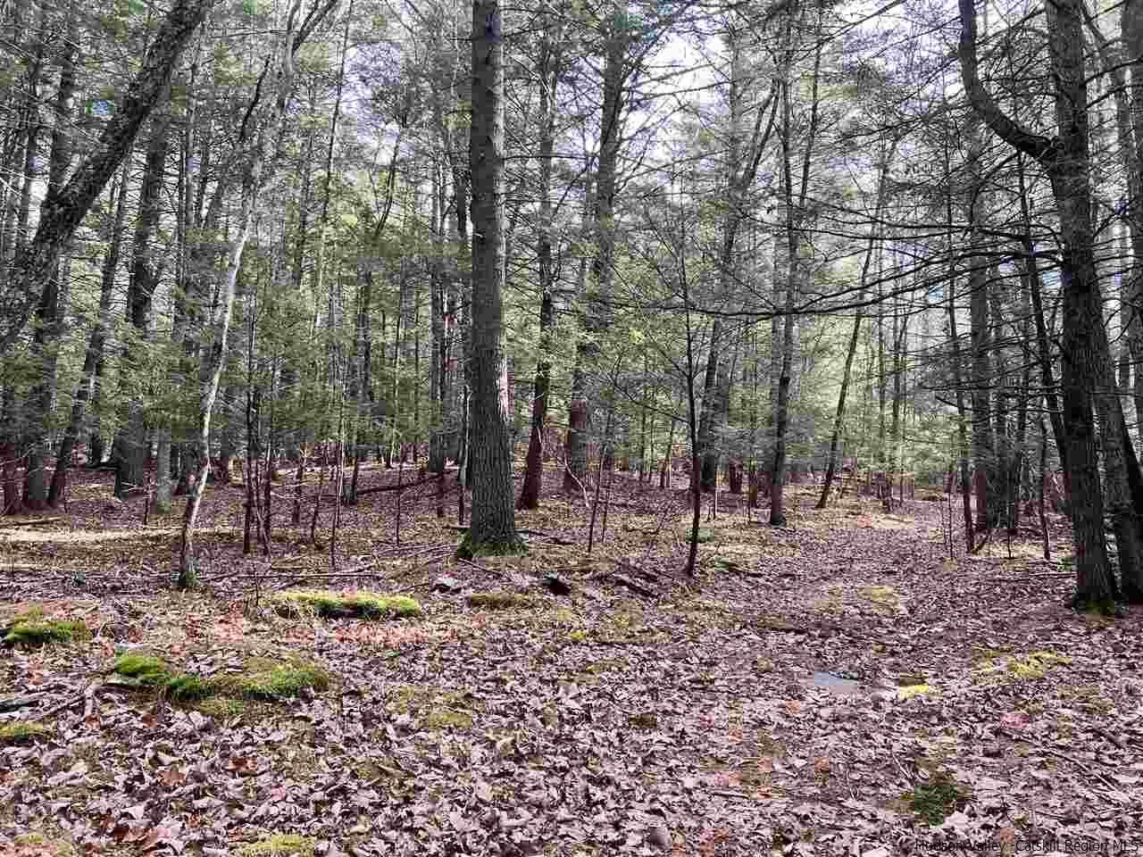 Tbd Tbd Samsonville Road, Unit COUNTY ROUTE 3 Olivebridge, NY 12461 - Photo 13 of 29 Photo 13