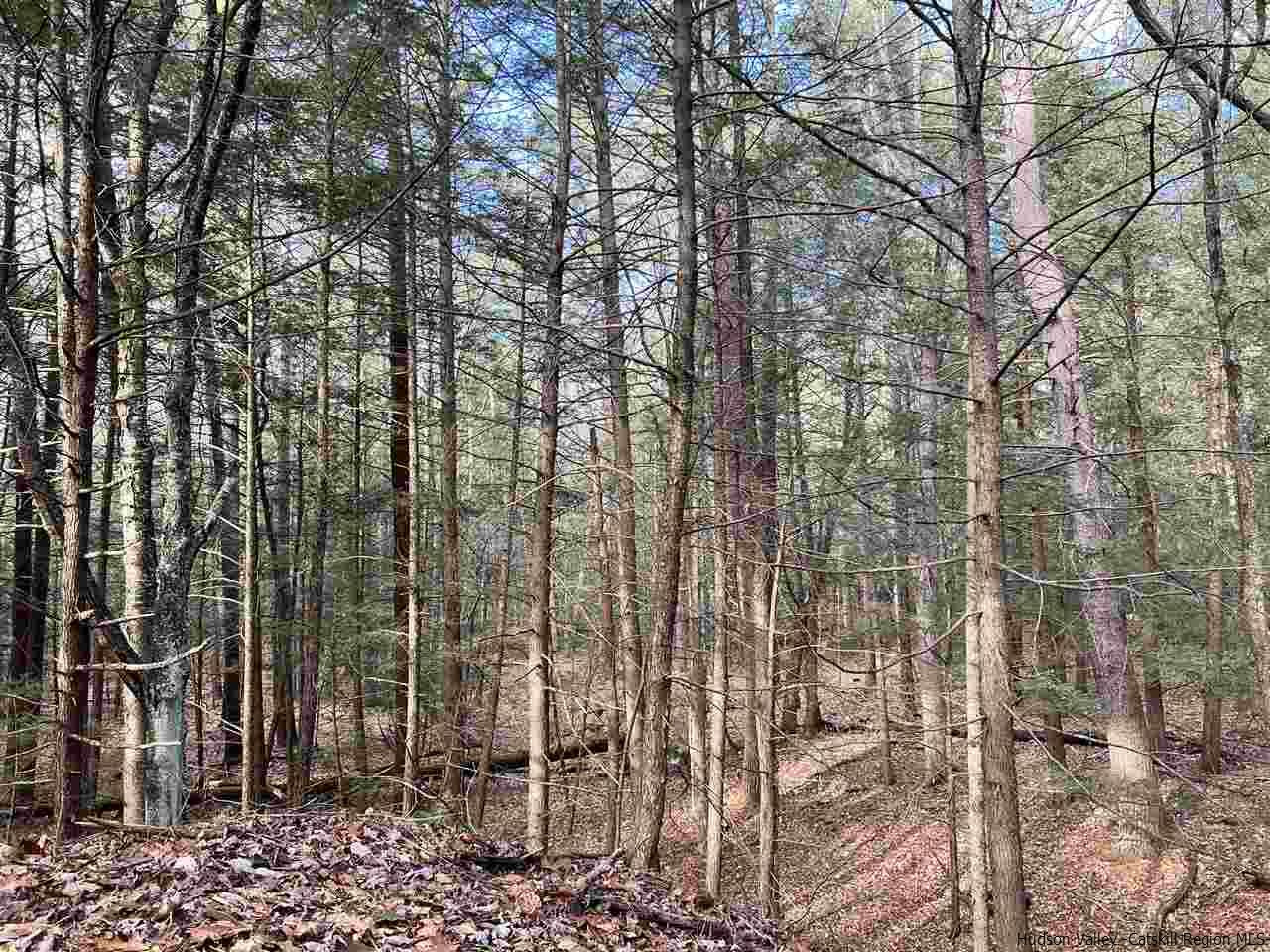 Tbd Tbd Samsonville Road, Unit COUNTY ROUTE 3 Olivebridge, NY 12461 - Photo 14 of 29 Photo 14