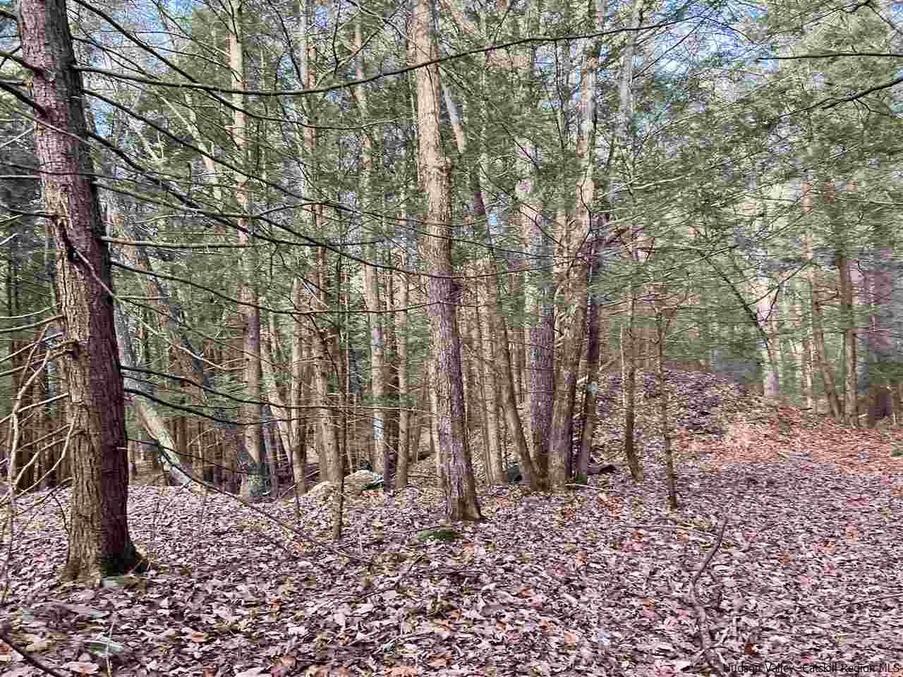 Tbd Tbd Samsonville Road, Unit COUNTY ROUTE 3 Olivebridge, NY 12461 - Photo 15 of 29 Photo 15