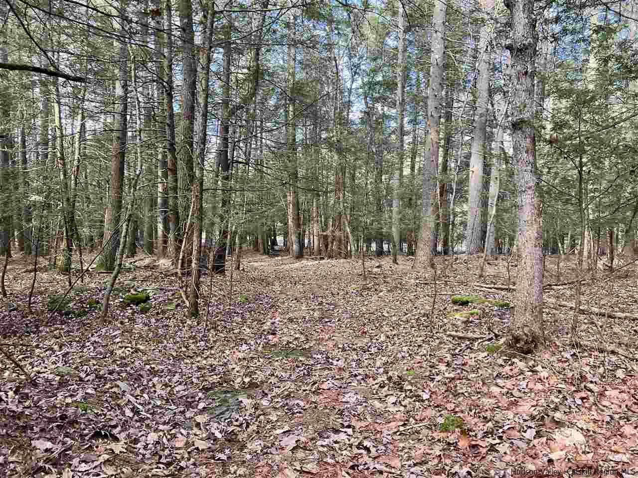 Tbd Tbd Samsonville Road, Unit COUNTY ROUTE 3 Olivebridge, NY 12461 - Photo 16 of 29 Photo 16