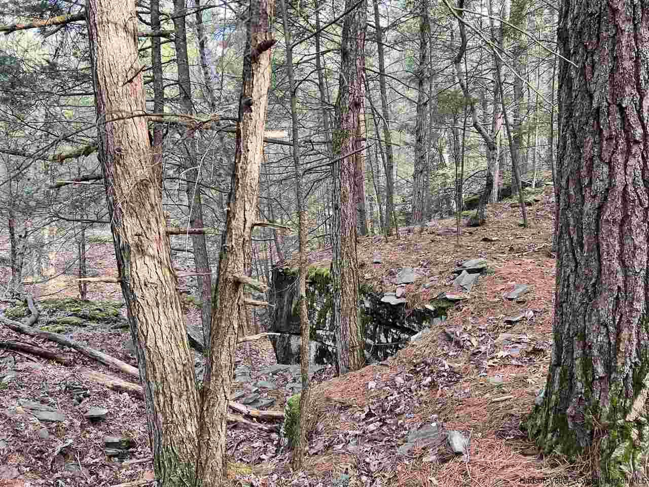 Tbd Tbd Samsonville Road, Unit COUNTY ROUTE 3 Olivebridge, NY 12461 - Photo 17 of 29 Photo 17