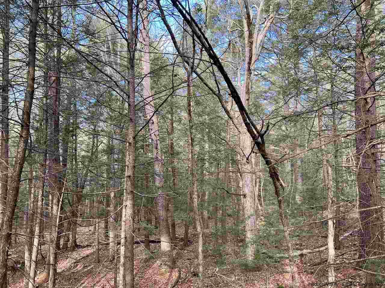Tbd Tbd Samsonville Road, Unit COUNTY ROUTE 3 Olivebridge, NY 12461 - Photo 18 of 29 Photo 18