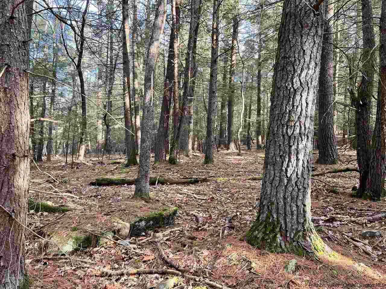 Tbd Tbd Samsonville Road, Unit COUNTY ROUTE 3 Olivebridge, NY 12461 - Photo 19 of 29 Photo 19