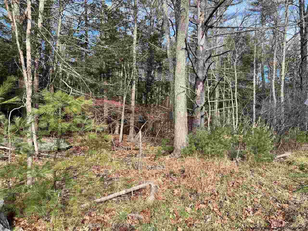 Tbd Tbd Samsonville Road, Unit COUNTY ROUTE 3 Olivebridge, NY 12461 - Photo 21 of 29 Photo 21